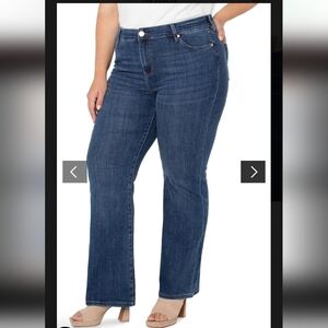 5 For $99! Liverpool Lucy Bootcut Plus Size Jeans